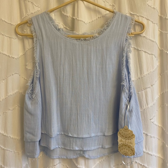 Tops - NWT Altar’d State blue crop top